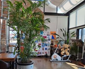 천천히 가면 보이는 것들